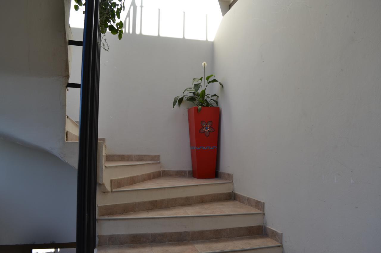 Guest House Jujuy San Salvador de Jujuy Εξωτερικό φωτογραφία