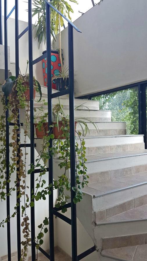 Guest House Jujuy San Salvador de Jujuy Εξωτερικό φωτογραφία